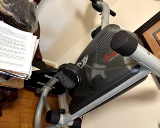 Sunny Magnetic Recumbent Bike