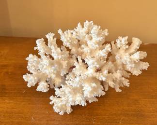 Vintage Reef Coral Cluster