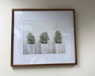 Framed Art