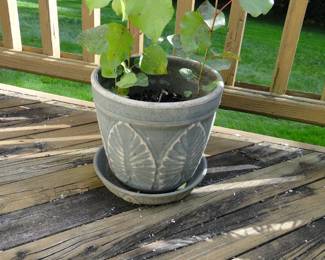 Planter #2