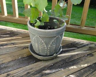 Planter #1