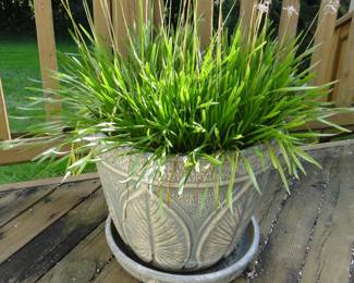 Planter #3