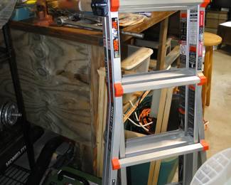 Ladder, multi-twistable