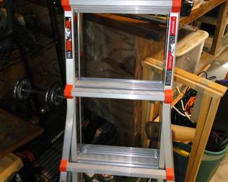 Adjustable ladder, the really cool kind