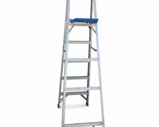 Werner ft Aluminum Step Ladder