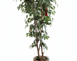 Artificial Ficus Tree in Stoneware Crock
