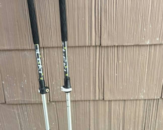 Lot 54: Hiking Poles and Binoculars