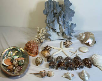 Lot 29: Assorted Seashells, Starfish, and Coral Collection