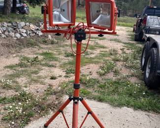 Dual halogen shop light