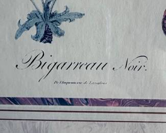 MCM French Botanical Illustration Prints Style