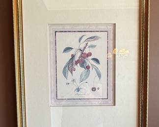 MCM French Botanical Illustration Prints Style