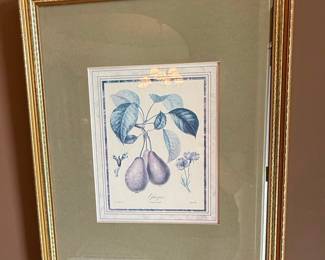 MCM French Botanical Illustration Prints Style
