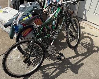 Giant Iguana SE Mountain Bike