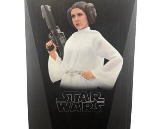 2015 Hot Toys Star Wars Princess Leia 1/6 Figure