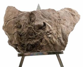 Large Prehistoric Dinosaur Footprint Slab Fossil