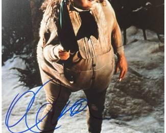Danny Devito Autographed Penguin Photo with CoA