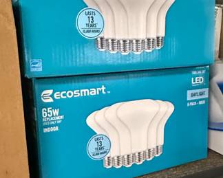EcoSmart W Replacement BR LED Daylight Bulbs Pack