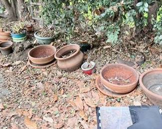 plant pots