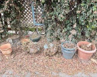 plant pots