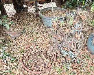 plant pots