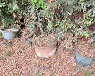 plant pots