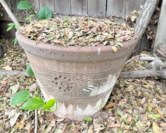 plant pots