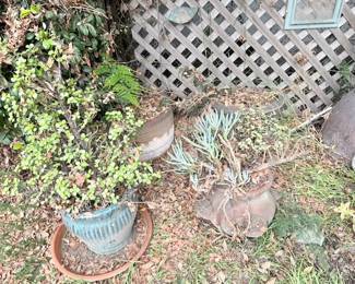 plant pots