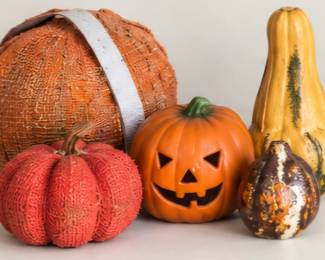 Assorted Halloween and fall seasonal decor. All sold separately.