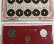 wIMG 0531 t