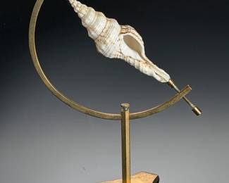 Vintage Spindle Shell Specimen on Custom Brass Display Stand