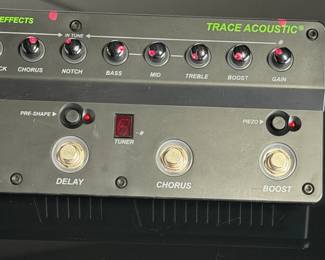 Trace Elliot Transit-A Acoustic Guitar Preamp & Multi-Effects Pedal w/ Bag