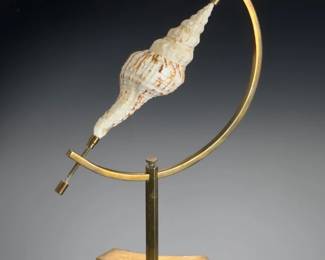 Vintage Spindle Shell Specimen on Custom Brass Display Stand