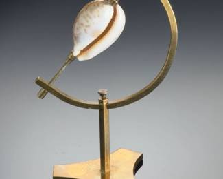 Rare Map Cowry Shell Specimen on Custom Brass Display Stand, Cypraea Mappa