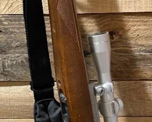 RUGER Model 10/22 .22 LR Rifle