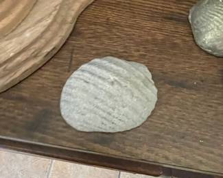 Fossilized Shell