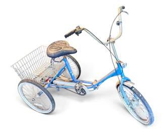 Blue Adventurer Trike