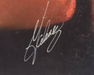 Elvis Presley Velvet Painting
