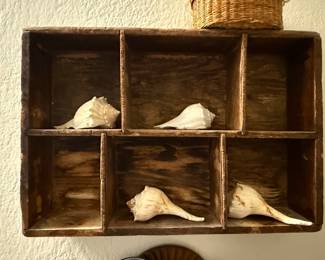 Vintage Wooden Printer's Type Tray with Seashell Display
