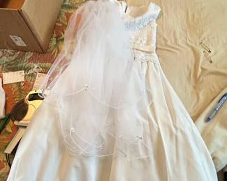 Sweet Pea and Lily First Communion Dress and Veil