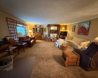 Living room, furniture and decor