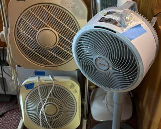 Fans