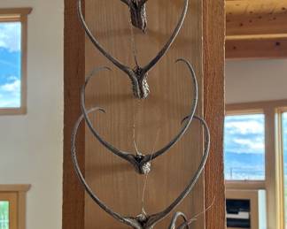 Seed pod arrangement