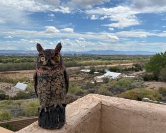 One eyed owl decoy