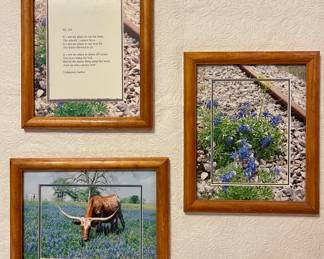 FRAMED BLUEBONNET PICTURES