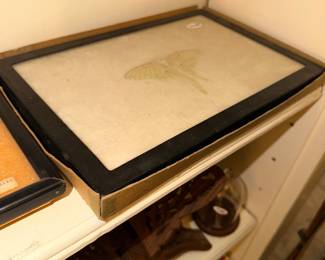 Items Located On The Living Room