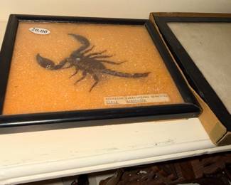 Items Located On The Living Room