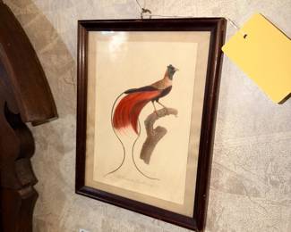 Items Located On The Living Room