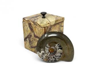 194 StoneLiddedBoxMoroccanPolishedAmmoniteFossil