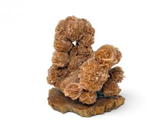 232 SeleniteDesertRoseCrystalClusterMineralSpecimenonWoodBase