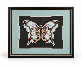 16 OriginalHandPaintedCutoutRicePaperButterflyArtworkFramed